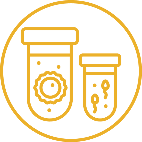 Донорские программы ЭКО