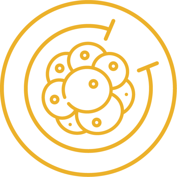 Лазерный хетчинг: Помощь Эмбриону в Имплантации