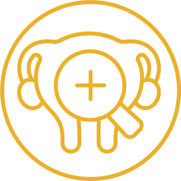 Физиотерапия в гинекологии: восстановление здоровья органов малого таза