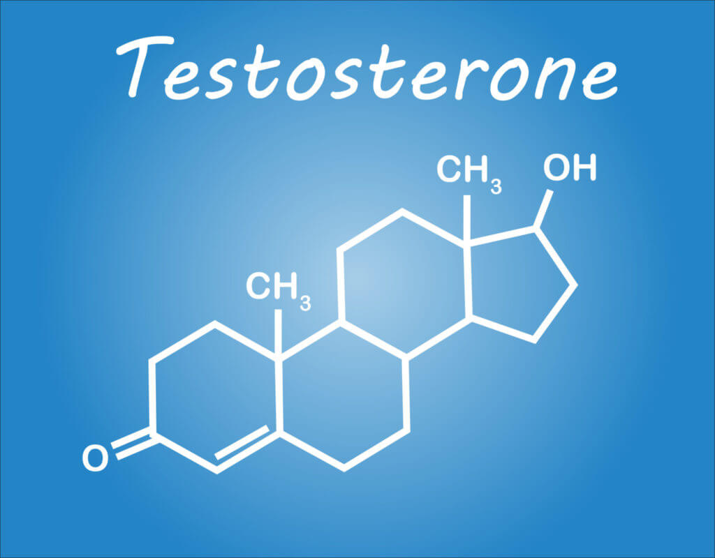 Каковы эффекты тестостерона?