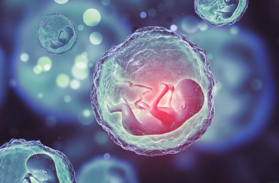 pozdnyaya implantaciya embriona i hgch posle eko