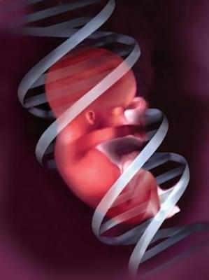 Генетические факторы невынашивания беременности