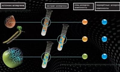 Молекулярная аллергология