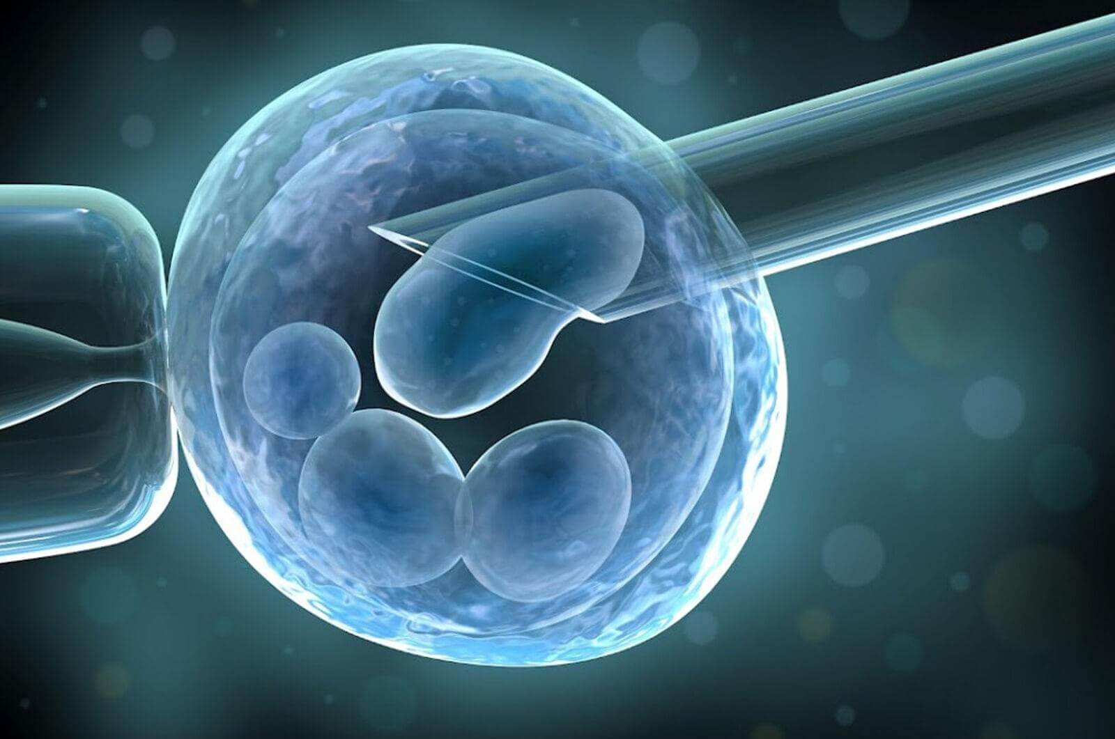 Что такое биопсия эмбрионов?
